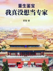 重生鉴宝：我真没想当专家